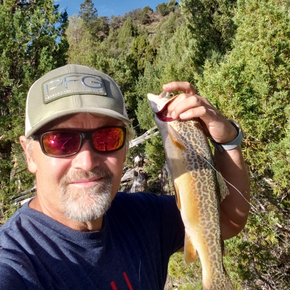 Meet your Posher, Joe - Picture 2 of 5